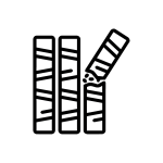 HFL-ICONS-01